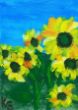 005-Sonnenblumen.jpg